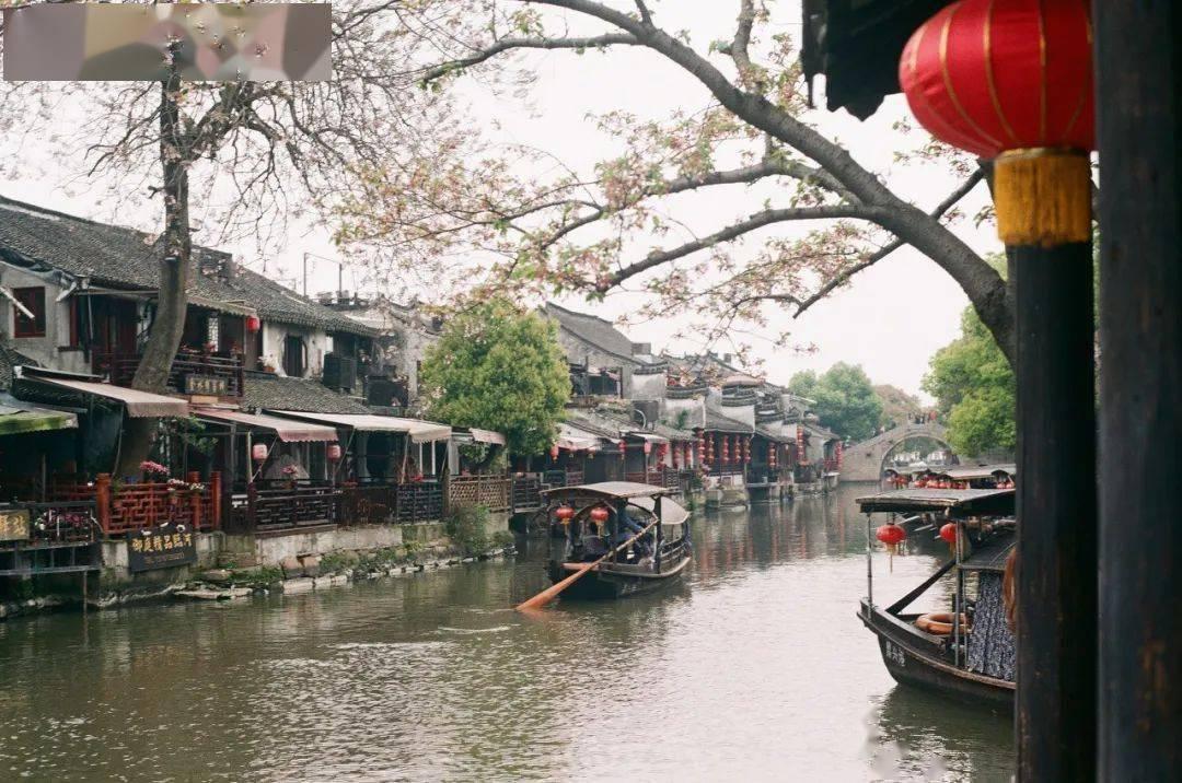 救援选美皇后